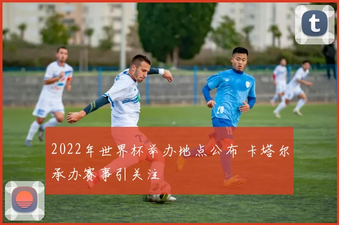 2022年世界杯举办地点公布 卡塔尔承办赛事引关注
