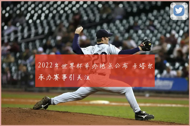 2022年世界杯举办地点公布 卡塔尔承办赛事引关注